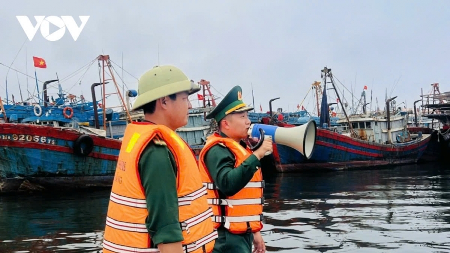 Các tỉnh từ Quảng Ninh đến Bình Định chủ động ứng phó với bão số 8