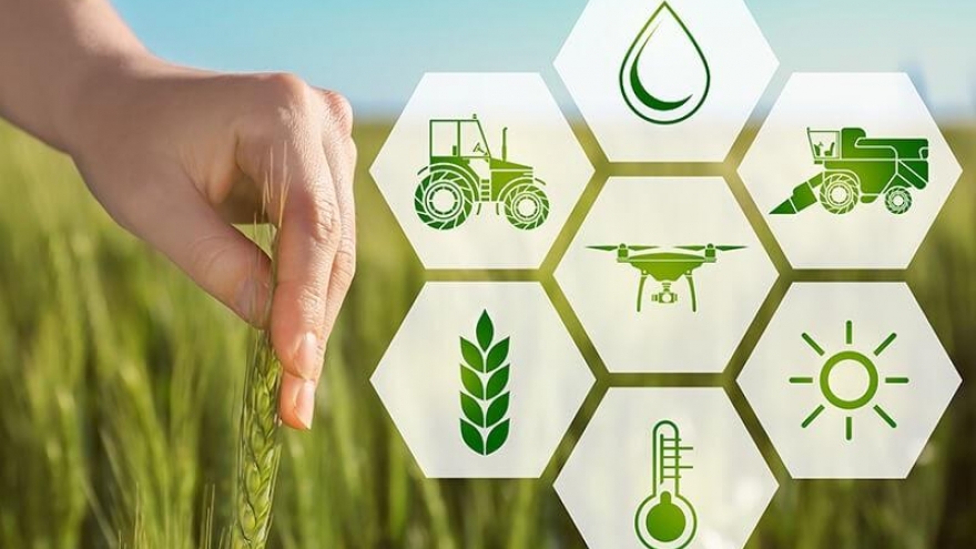 Chuyển đổi số, động lực thúc đẩy phát triển ngành nông nghiệp
