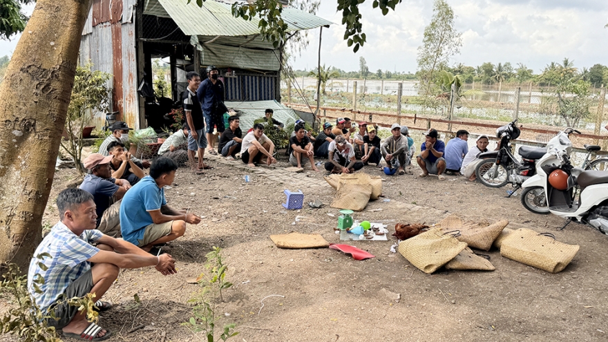 Triệt phá sới bạc nằm sâu trong cánh đồng