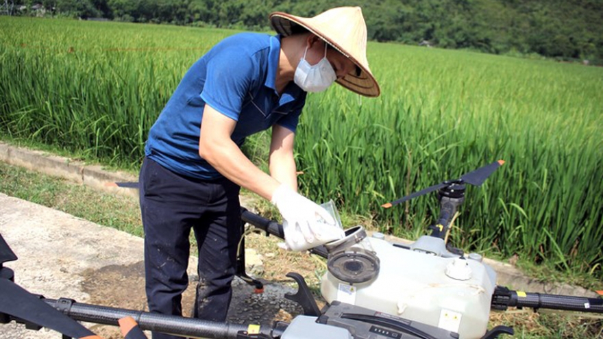 Hiểu và sử dụng đúng thuốc bảo vệ thực vật thúc đẩy xuất khẩu nông sản