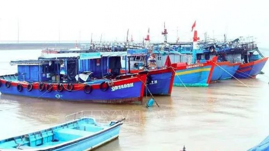 Quang Binh’s border guards launch full-scale operation to combat IUU fishing