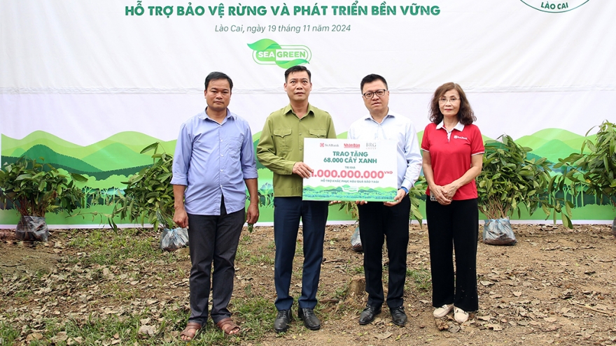 SeABank cùng Tập đoàn BRG trồng 68.000 cây phủ xanh gần 20ha rừng tại Lào Cai