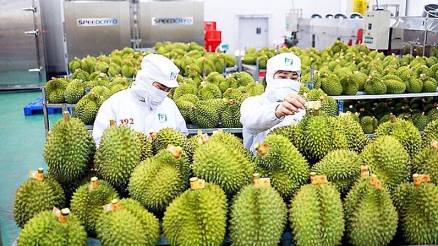 Fruit and vegetable exports likely to fetch US$7 billion this year