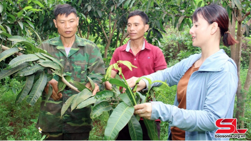 Liên kết sản xuất, tăng giá trị sản phẩm nông sản