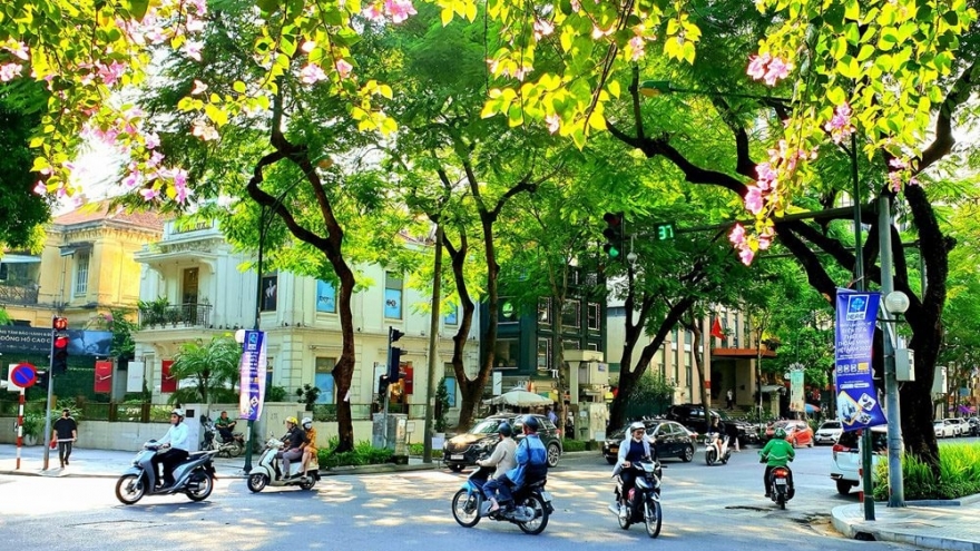 Thời tiết hôm nay 10/11: Miền Bắc ngày nắng, miền Nam có mưa rào và dông vài nơi