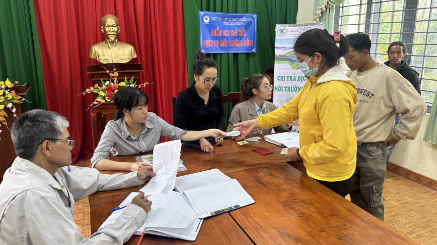 Tác động của chính sách chi trả dịch vụ môi trường rừng ở Lâm Đồng