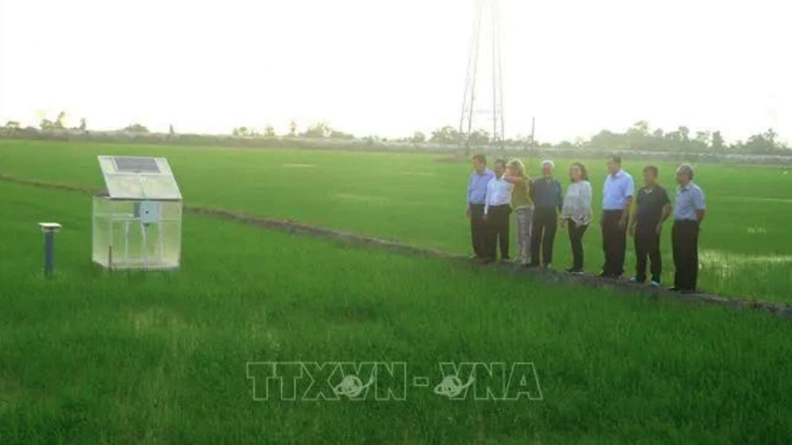 World Bank delegation visits Can Tho’s low-emission rice production model