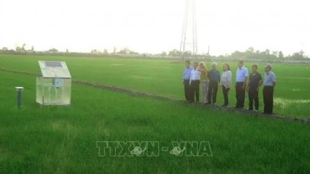 World Bank delegation visits Can Tho’s low-emission rice production model