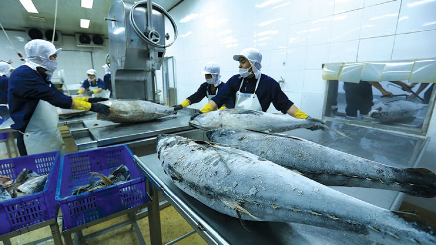 Tuna exports to Japan jump in October