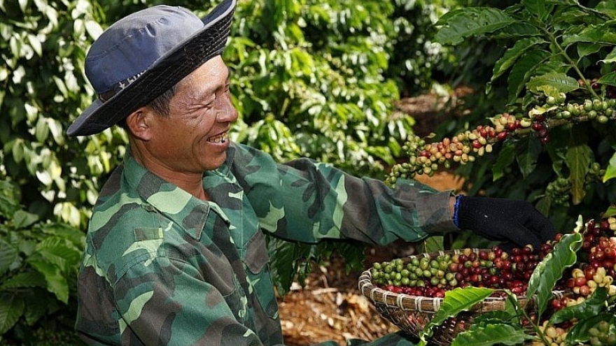 Coffee brings in highest export earnings on record