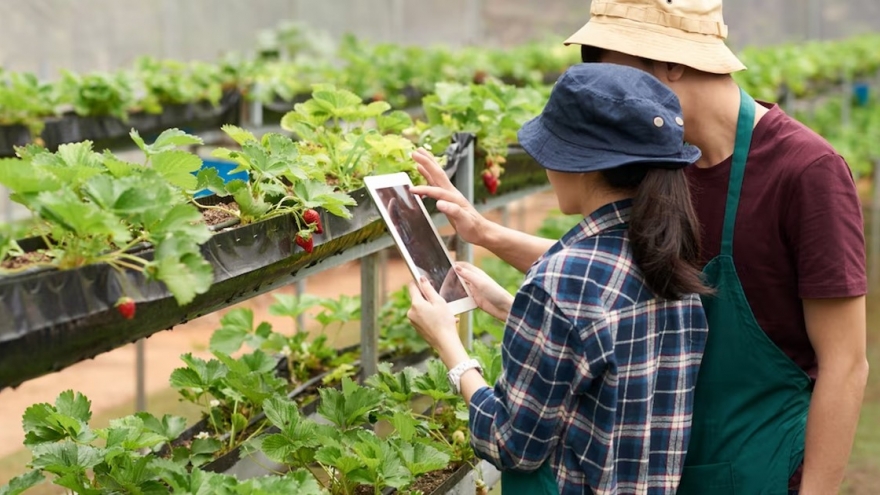 Làng số hóa đang từng bước thay đổi diện mạo nông thôn Việt