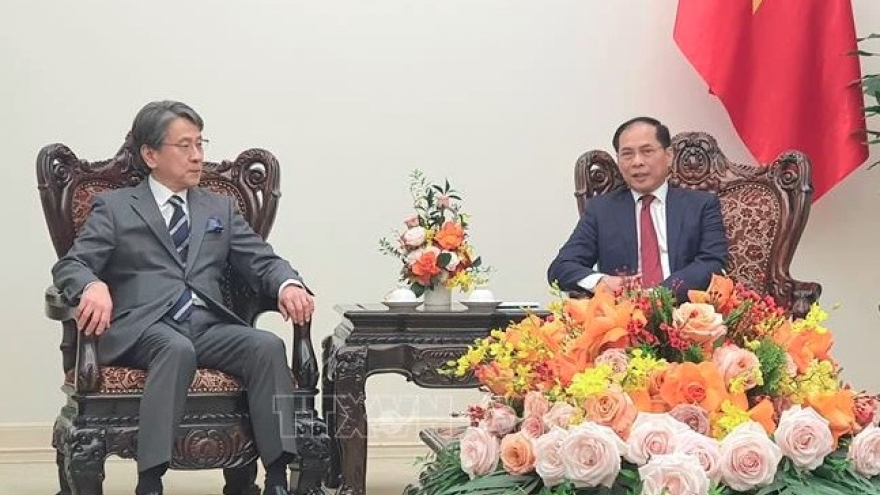 Vietnam, Japan collaborate to drive energy transition