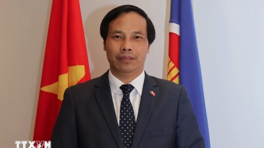 Energy cooperation constitutes bright spot in Vietnam-Qatar relations