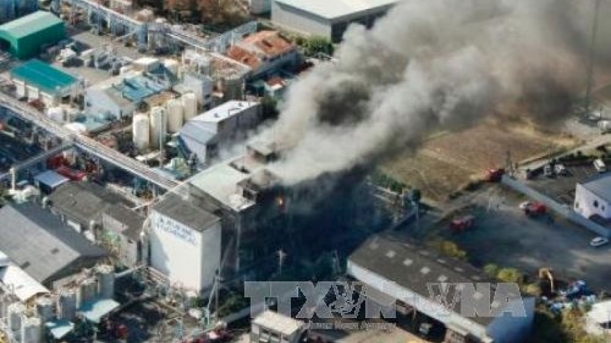 Vietnamese workers injured in paint factory explosion in Osaka