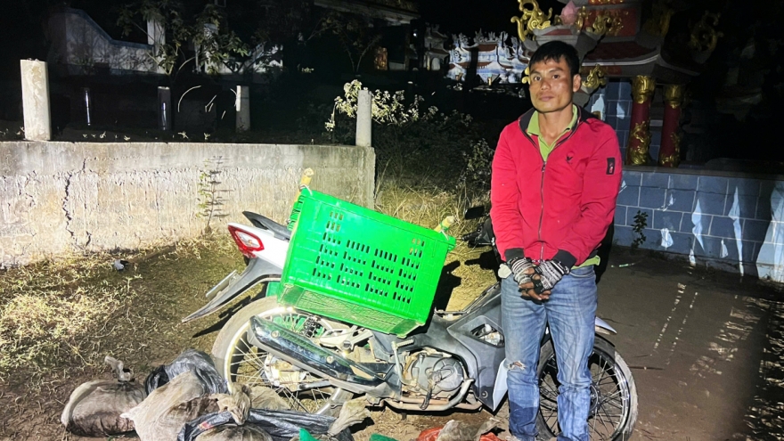 Bắt quả tang thanh niên vận chuyển trái phép 6 con tê tê ở Quảng Trị