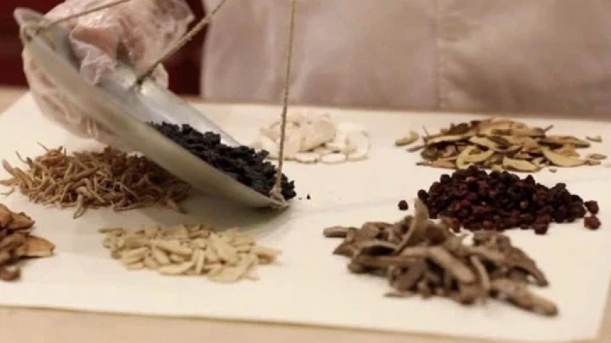 PM calls for development of traditional medicine products to serve tourists