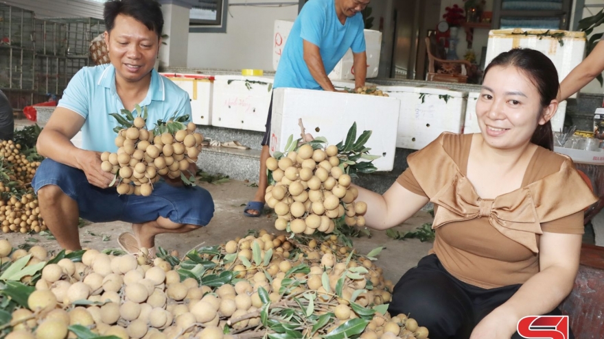 Sản xuất, chế biến, xuất khẩu nông sản ở Sông Mã