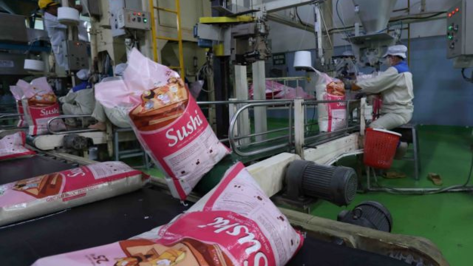 Rice export sets new record in 2024, but 2025 expected to be tough