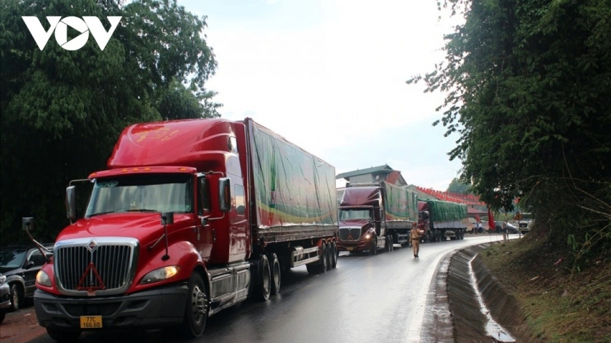 Giá trị hàng hóa xuất khẩu của Sơn La đạt gần 200 triệu USD