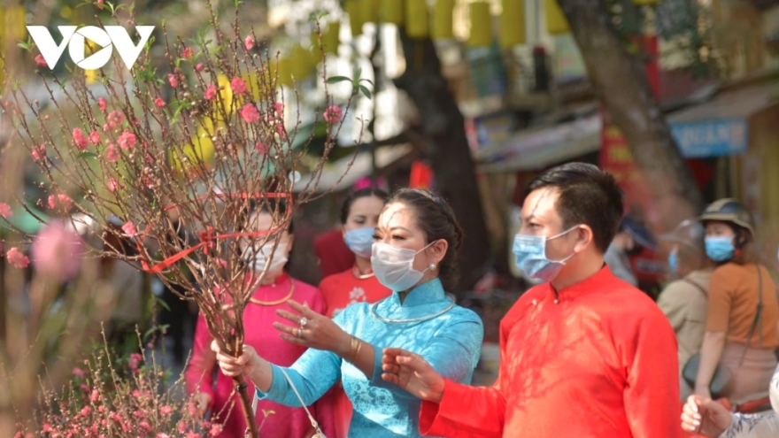 Hanoi gears up to open 70 spring flower markets ahead of Tet