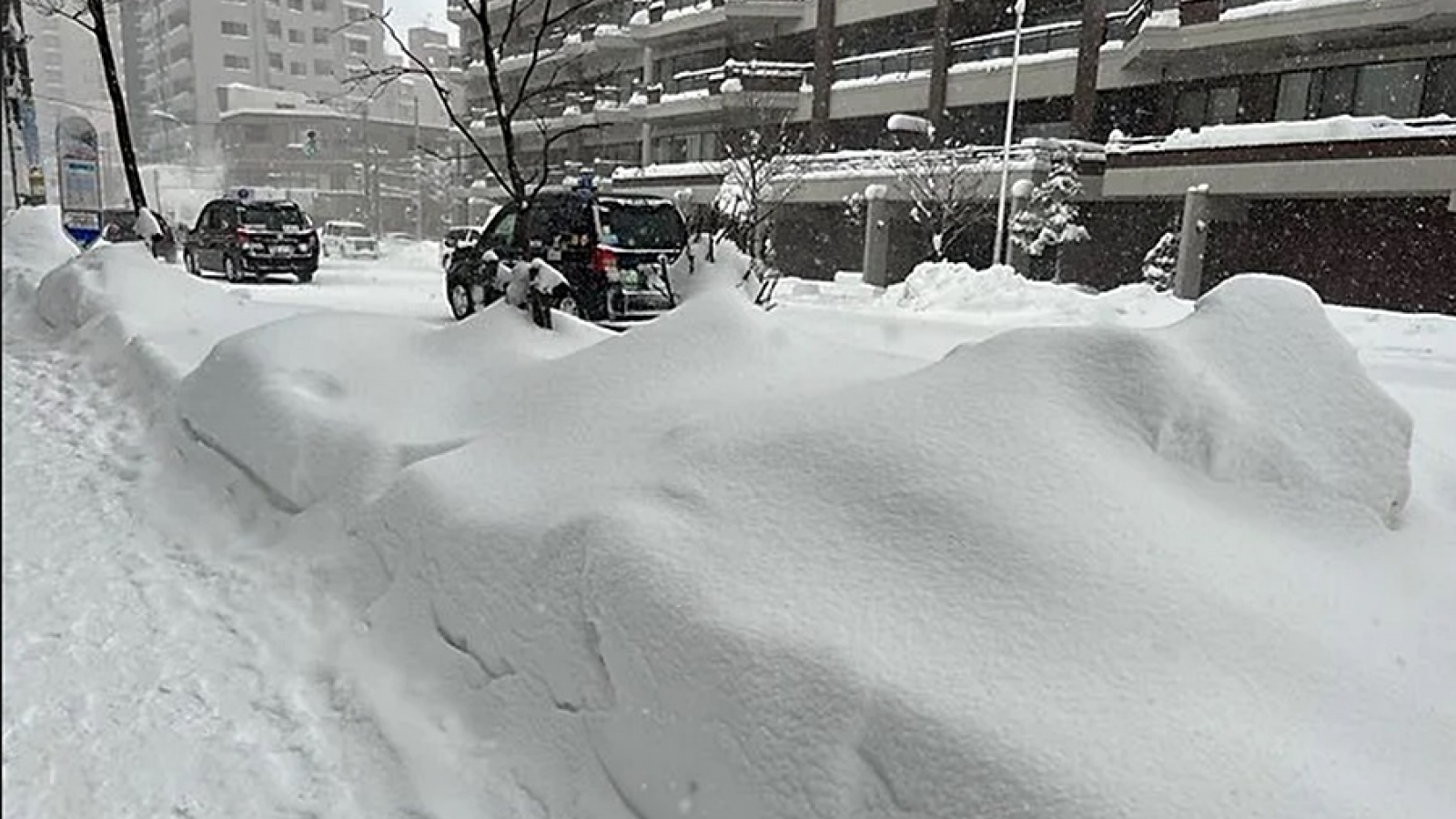 Tuyết rơi kỷ lục gây nhiều thương vong và mất tích ở Nhật Bản
