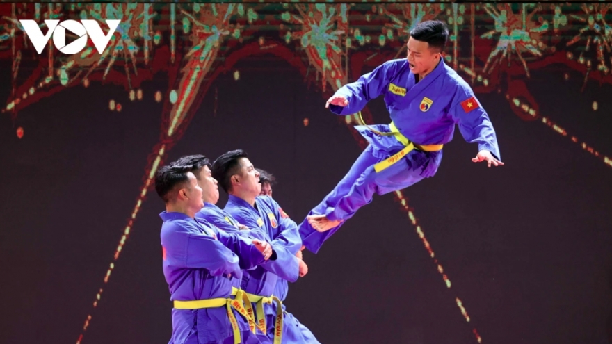 Ho Chi Minh City to host international martial arts festival