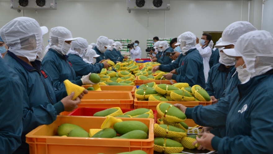 Fruit and vegetable sector aims for US$10 billion export target