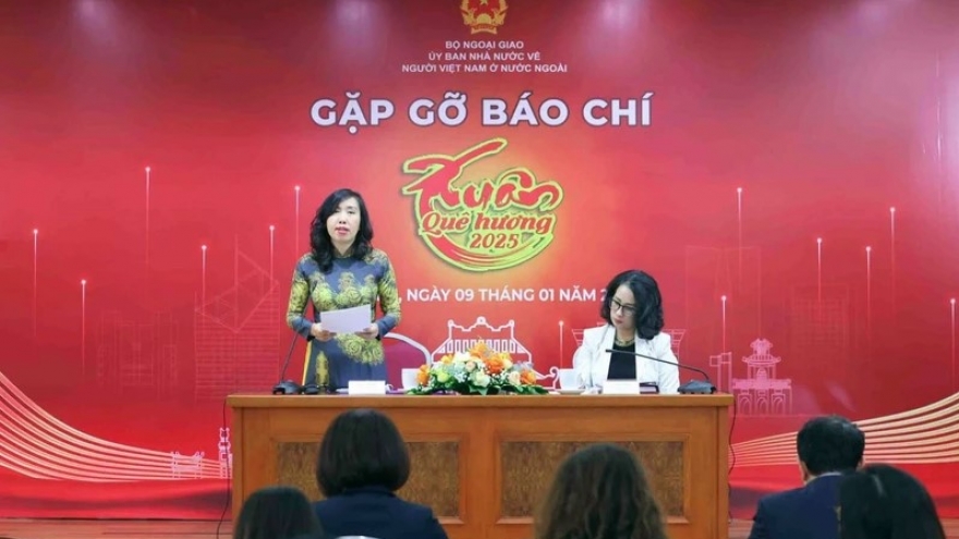 Overseas Vietnamese maintain contributions to their homeland: Deputy FM