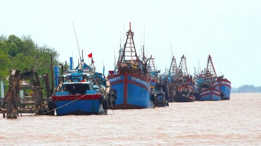 Ben Tre works hard to handle ‘three no’s’ fishing vessels