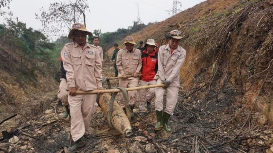 220-kg wartime bomb discovered in Quang Binh