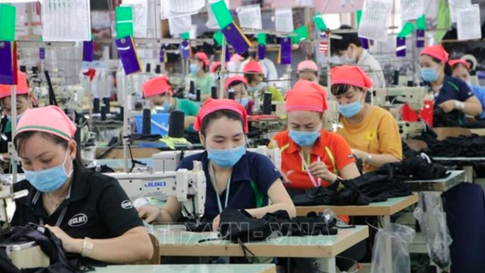 Businesses supported to develop green practices