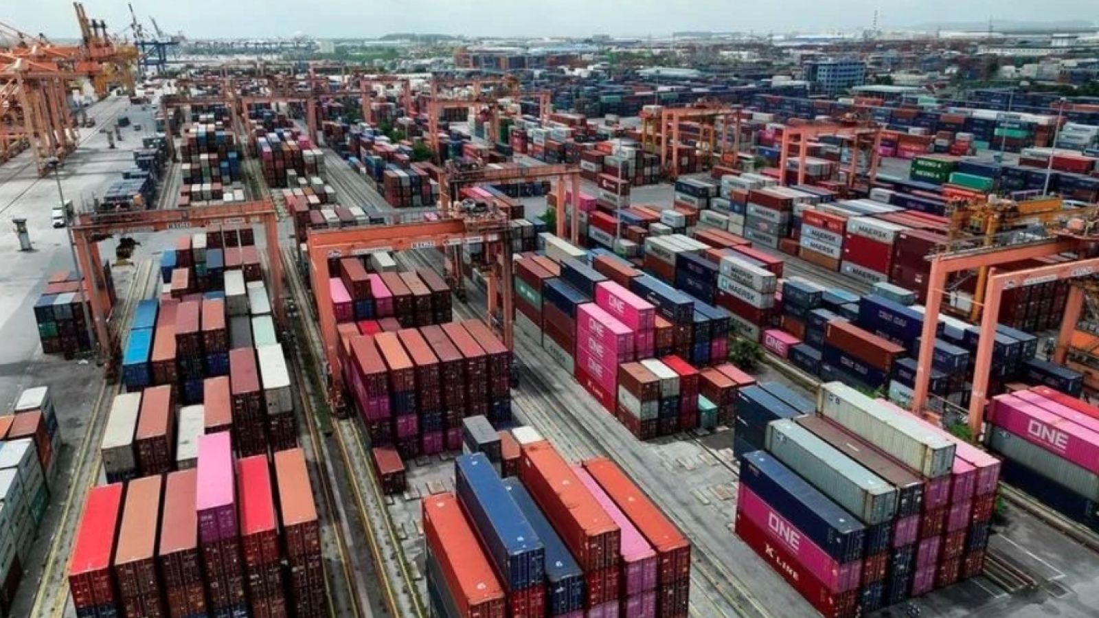 Logistics firms optimistic about growth prospects in 2025: Survey
