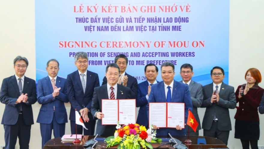 Vietnam, Japan boost labour and employment co-operation