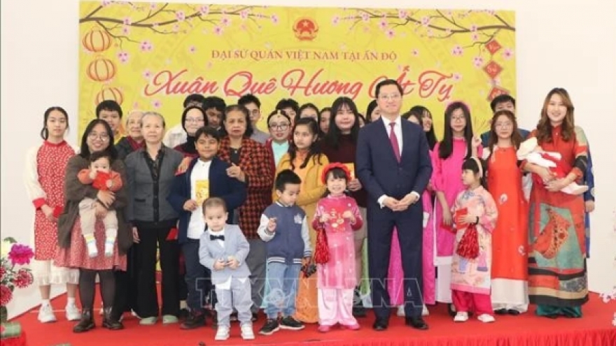 Vietnamese in India, RoK, Japan, Hong Kong celebrate Lunar New Year