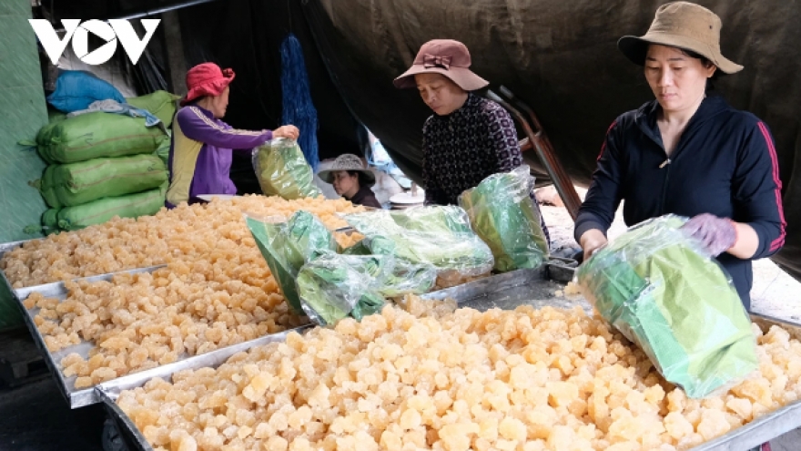 Rock sugar village in central Vietnam bustling in buildup to Tet