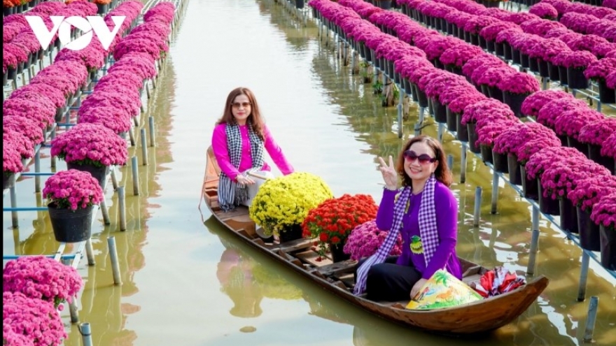 Dazzling spring colours emerge in Mekong Delta flower city