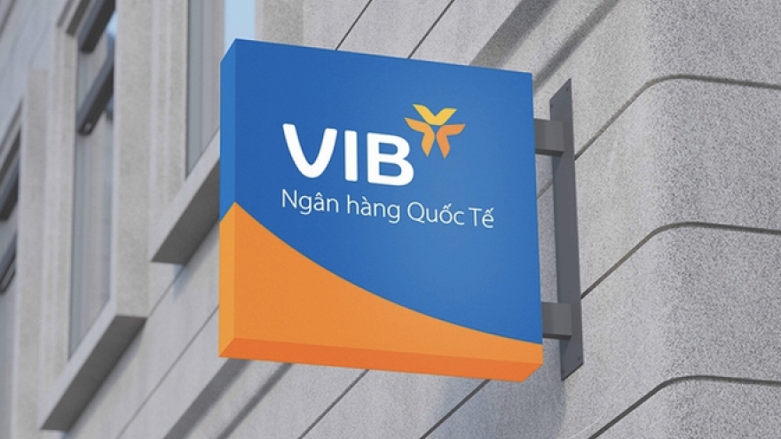 VIB: Lợi nhuận 2024 hơn 9.000 tỷ đồng, tăng trưởng tín dụng 22%, dẫn đầu ngành