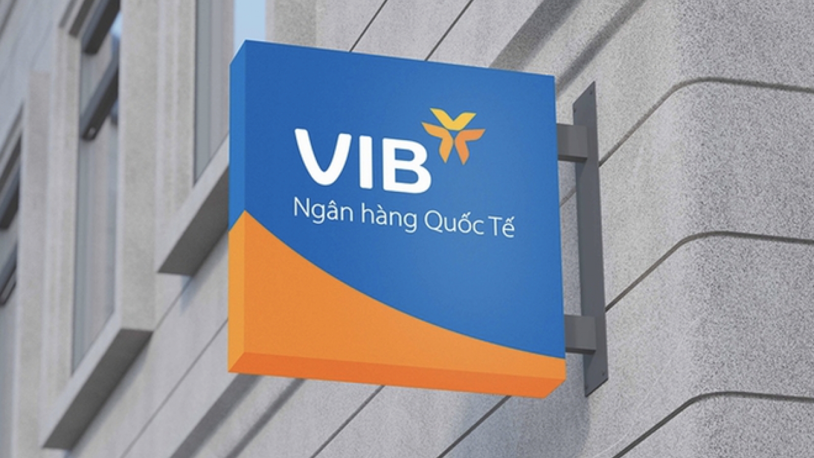 VIB: Lợi nhuận 2024 hơn 9.000 tỷ đồng, tăng trưởng tín dụng 22%, dẫn đầu ngành