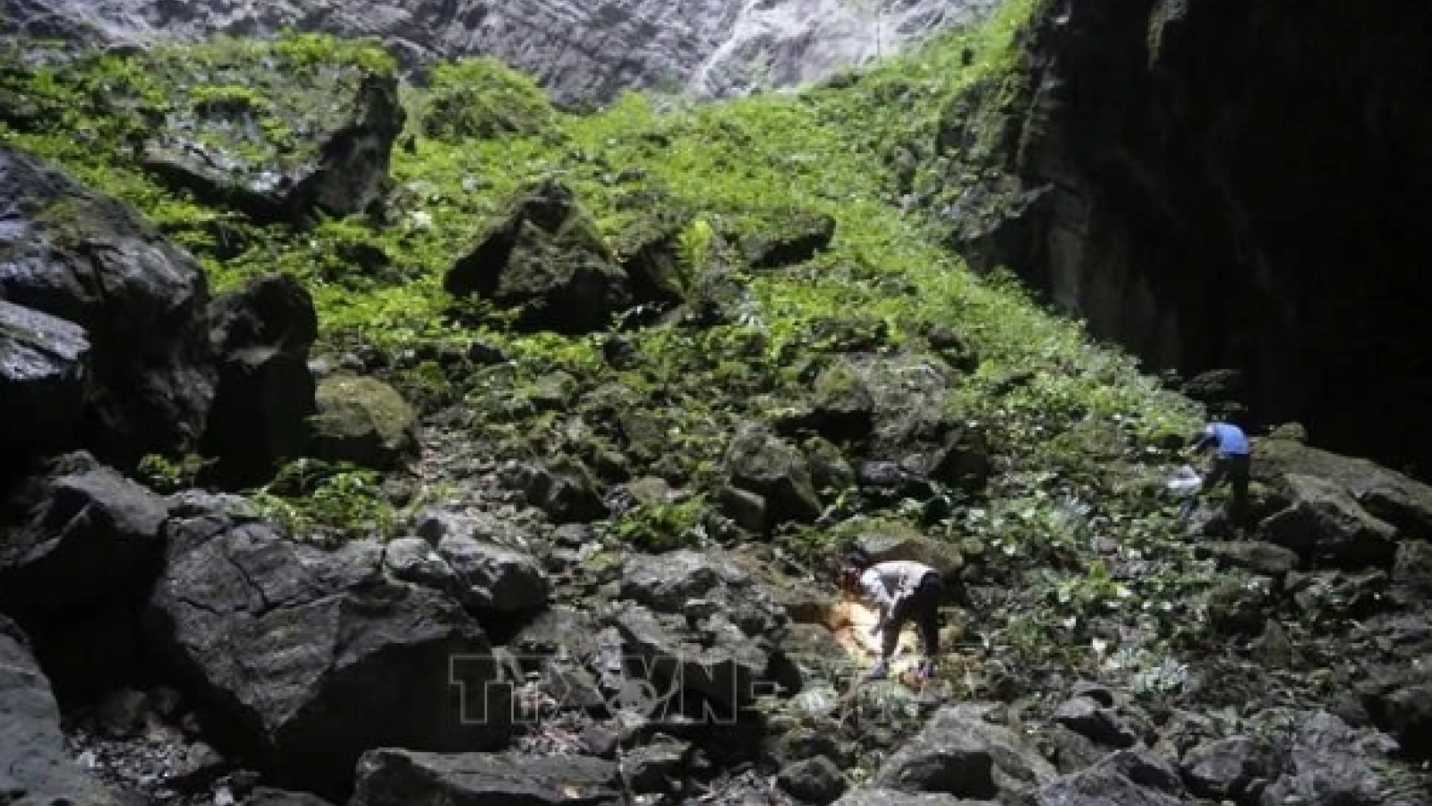Vietnamese scientists discover new snail species in world’s largest cave