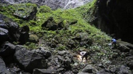 Vietnamese scientists discover new snail species in world’s largest cave
