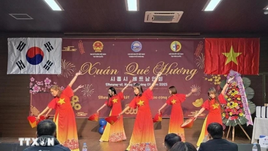 OV communities celebrate early Tet with cultural festivities in RoK, New Zealand