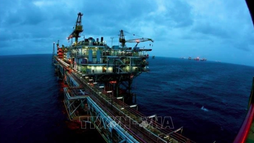 Vietnam, Russia enjoying thriving trade ties: Russian official