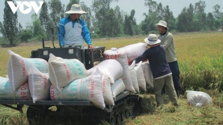 SunRice shows interest in Vietnam’s low-carbon rice production