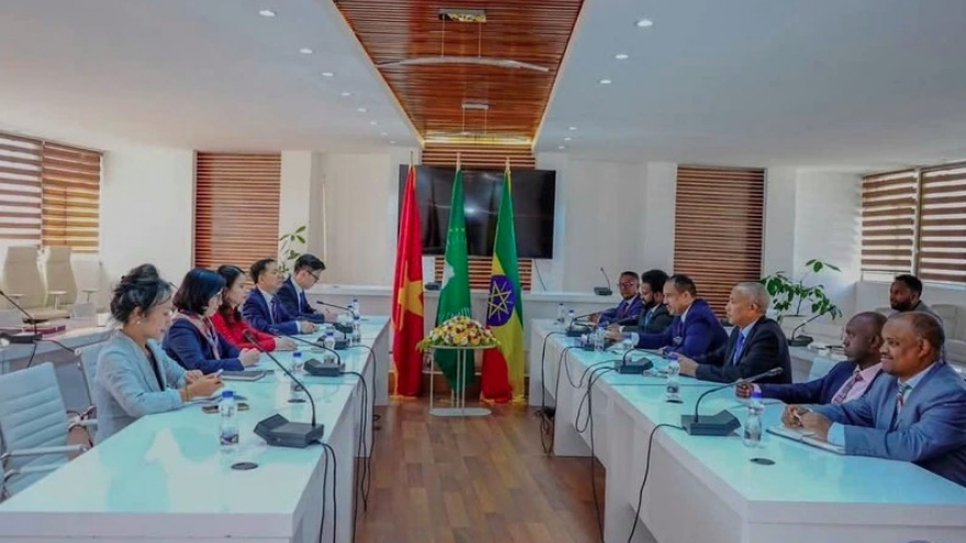 Vietnam, Ethiopia look to strengthen cooperation in potential sectors