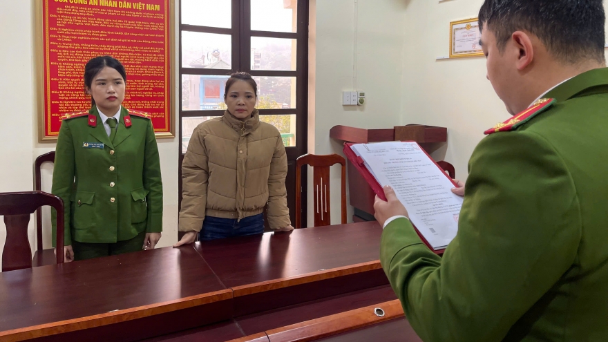 Bắt tạm giam người phụ nữ mua bán ngà voi trái phép ở Cao Bằng