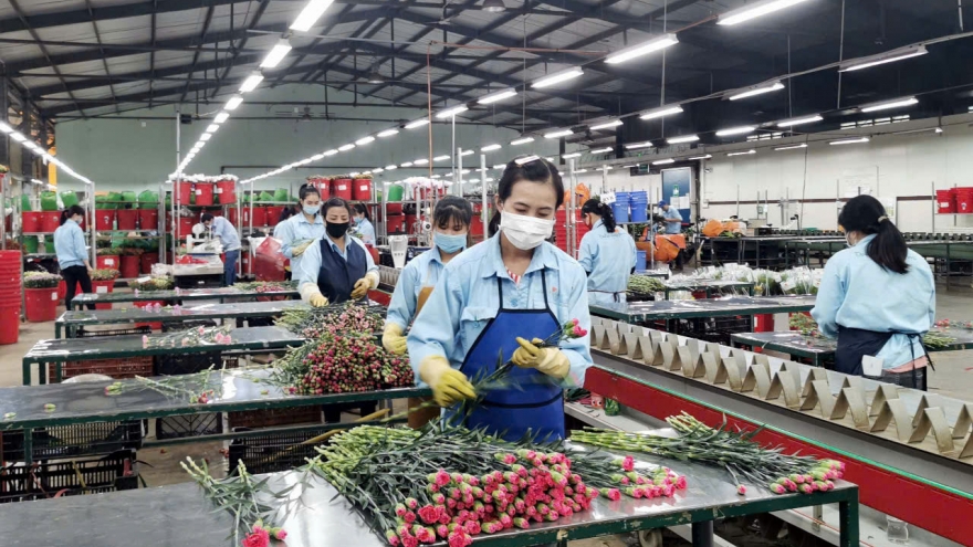 Lâm Đồng xây dựng thương hiệu để thúc đẩy sản xuất và xuất khẩu nông sản
