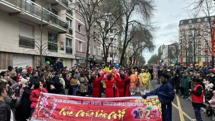 Vietnamese culture shines at Lunar New Year festival in France