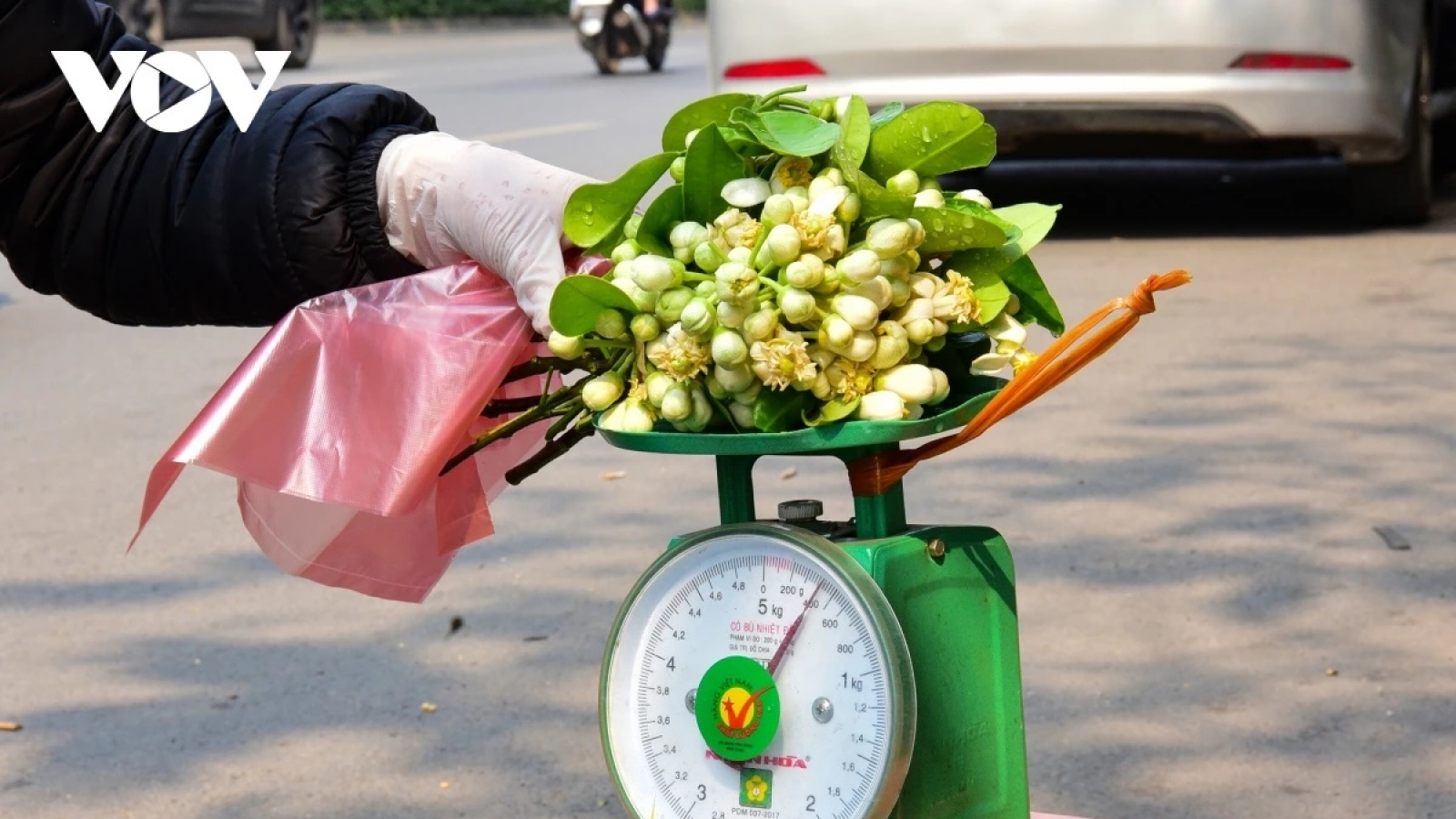 Hoa bưởi đầu mùa giá nửa triệu đồng/kg vẫn hút khách