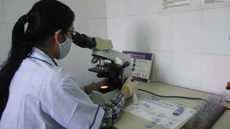 Malaria cases in Vietnam down 20% in 2024