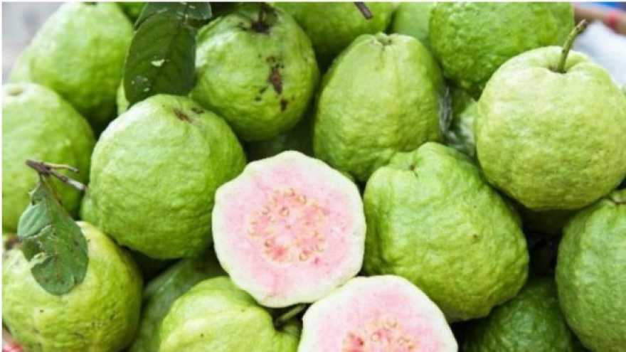 Loại quả là kho vitamin C, chăm ăn khỏi lo gặp bác sĩ